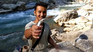 FISHING IN NEPAL | FRESHWATER ASALA FISHING | HIMALAYAN TROUT | SMALL RIVER | CAST-NET FISHING |