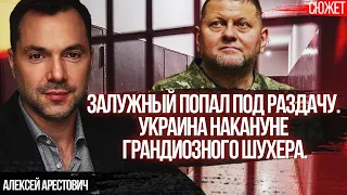 Уголовное дело против Залужного: Украина накануне грандиозного шухера. Алексей Арестович