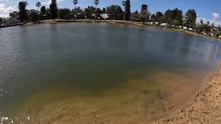 Narrabeen Lake quick fish