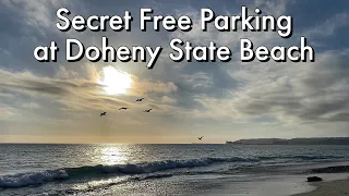 Secret Free Parking at Doheny State Beach #adayinalife of #vanlife