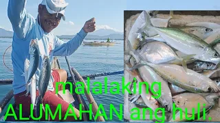 HANDLINE FISHING USING SABIKI,CATCHING BIG MACKAREL..