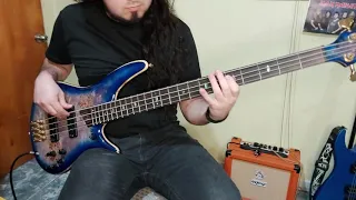 Red Hot Chili Peppers - Around The World - Live at Slane Castle [Bass Cover]