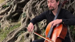 Ennio Morricone - OST La Califfa (cello and orchestra)