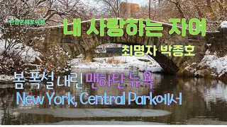 내 사랑하는 자여 최명자 duet with 박종호. New York central Park 의 폭설  4K UHD