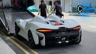 McLaren Elva - Johor Royalty