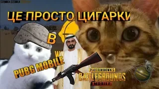 ЦЕ ПРОСТО ЦИГАРКИ - PUBG MOBILE. Смешные нарезки Пабг Мобайл. Видео со стрима