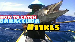 How to catch BARRACUDA FISH(Handline fishing#9)