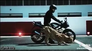 Cheetah VS Ninja Bike Race 😱🔥🔥