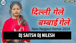 DILEE GELE BAMBAI GELE🌿 New Nagpuri Song 2024 🌿Old Nagpuri Sadri Dansh Style🌿 New Nagpuri Video