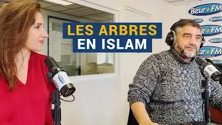 [L’Islam au Présent] "Les arbres en Islam" avec l’imam Abdelali Mamoun