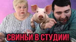 СВИНЬИ В СТУДИИ. ОЛЬГА УРАЛОЧКА LIVE. ОБЗОР.