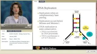 Molecular Basis of Heredity   Part 1  Nucleic Acids