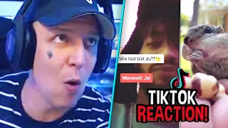 REAKTION auf die BESTEN TIKTOK Clips!😂 MontanaBlack Reaktion