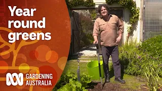 Tips for keeping your green vegetables growing all year round  | Gardening 101 | Gardening Australia