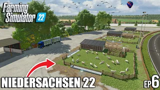 Building a 300.000$💵 SHEEP FARM | Niedersachsen 22 | Timelapse 6| Farming Simulator 22