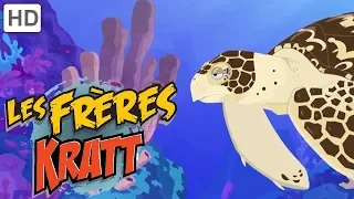 Les Frères Kratt 🐸  Créatures Sous-marines Inattendues 🐢 | Vidéos pour Enfants