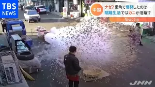 中国で“ポップコーン”が大爆発＆落下物に“上海ガニ”が活躍