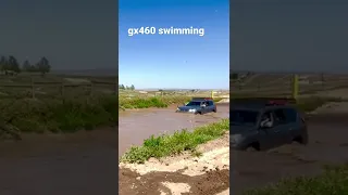 gx460 swimming x prairie city