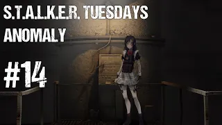 STALKER Tuesday // They're All Dead, Time to Go Shopping!