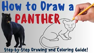 How To Draw A Panther - Fun & Easy Step By Step Drawing and Coloring Guide