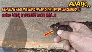 AJAIB & MISTIS,, Ada cincin GENDeRUWO,, Setelah Kayu Jati Besar Ini Di Belah Dengan STIHL,,