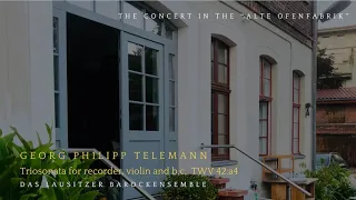 G.Ph.Telemann | Triosonata for Recorder, Violine & B.c. | Das Lausitzer Barockensemble