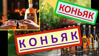 Коньяк, в чём польза коньяка? Коньяк как вспомогательный продукт