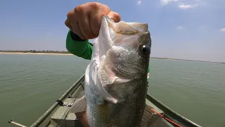 Arreglo Texas Brutal Pesca de Lobina en Puntas