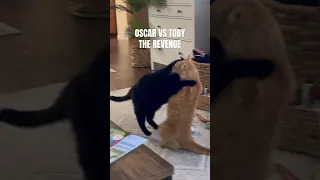 OSCAR VS TOBY: PILOT