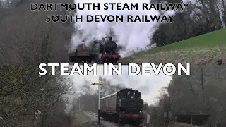 Steam In Devon | Dartmouth Steam Railway & South Devon Railway |  Saturday 10th February 2024