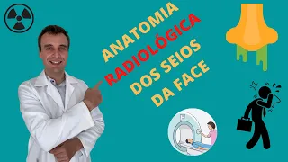 Anatomia Radiológica completa dos seios da face na tomografia