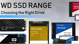 WD SSD Range Guide - Blue Red Black Green Gold