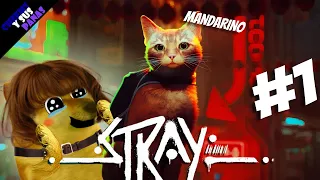 Cheems ayuda a un GATITO a volver a CASA - Stray #1