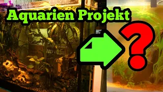 Aquarium Projekt! Wir Renovieren ein altes Aquarium!