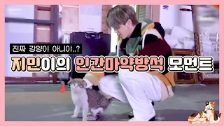 방탄 지민 별명이 강양이인 이유 (a.k.a. 인간마약방석)