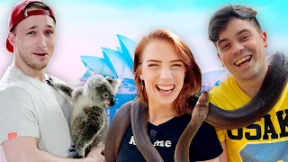 Snuggling Koala Bears in Australia (Squad Vlog)