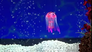 Swimming Jellyfish Toys Aquabots | AusGeoShop