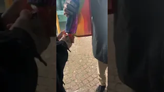 Сжигаем флаг лгбт 🏳️‍🌈