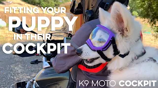 Fitting your PUPPY into their K9 MOTO COCKPIT!