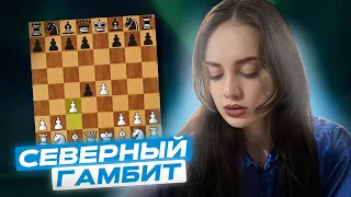 Северный гамбит: как играть за белых и что же делать черным?