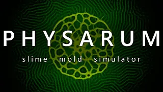 PHYSARUM: Slime Mold Simulator - Announcement Trailer (Steam Game)