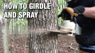 How to Girdle and Spray Trees for Forest Stand Improvement