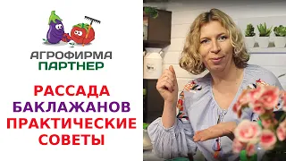 РАССАДА БАКЛАЖАНОВ. ПРАКТИЧЕСКИЕ СОВЕТЫ