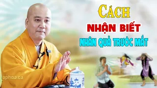 Cách Nhận Biết Nhân Quả Ngay Trước Mắt - Pháp Thoại Thầy Thích Pháp Hòa