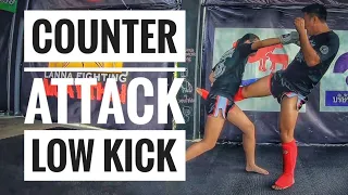 Counter attack low kick training