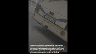 Армянгуши приставали к чеченским девушкам в автобусе ехавшем из Москвы #чечня #кавказ