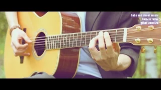 Bloodhound Gang - The Bad Touch │ Fingerstyle guitar cover