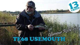 "Морський окунь" у Ставі!? Огляд Breaden Glamour Rock Fish GRF-TE68 Usemouth.