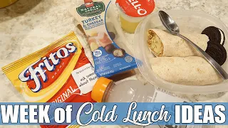 Easy Cold Lunch Ideas for Work or School