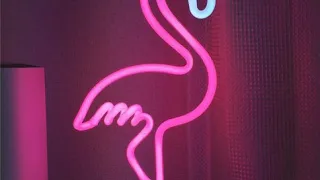 Розовый фламинго (Golany mix)